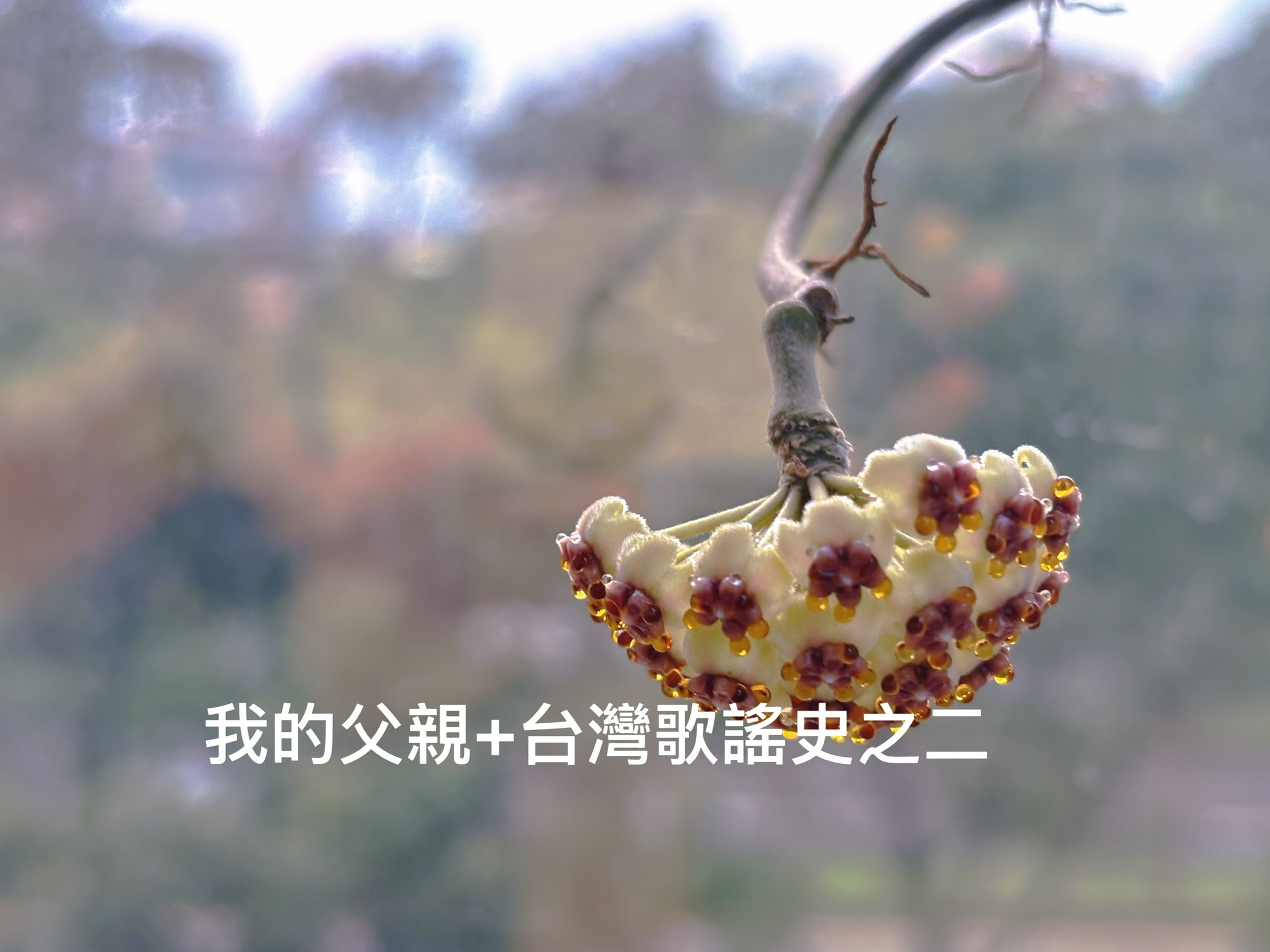 我的父親＋台灣歌謠史之二