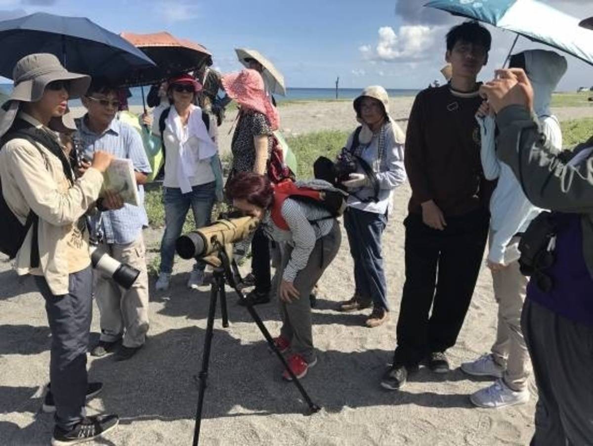 探訪稀有鳥類 臺東環保局「生態地圖工作坊」開放報名