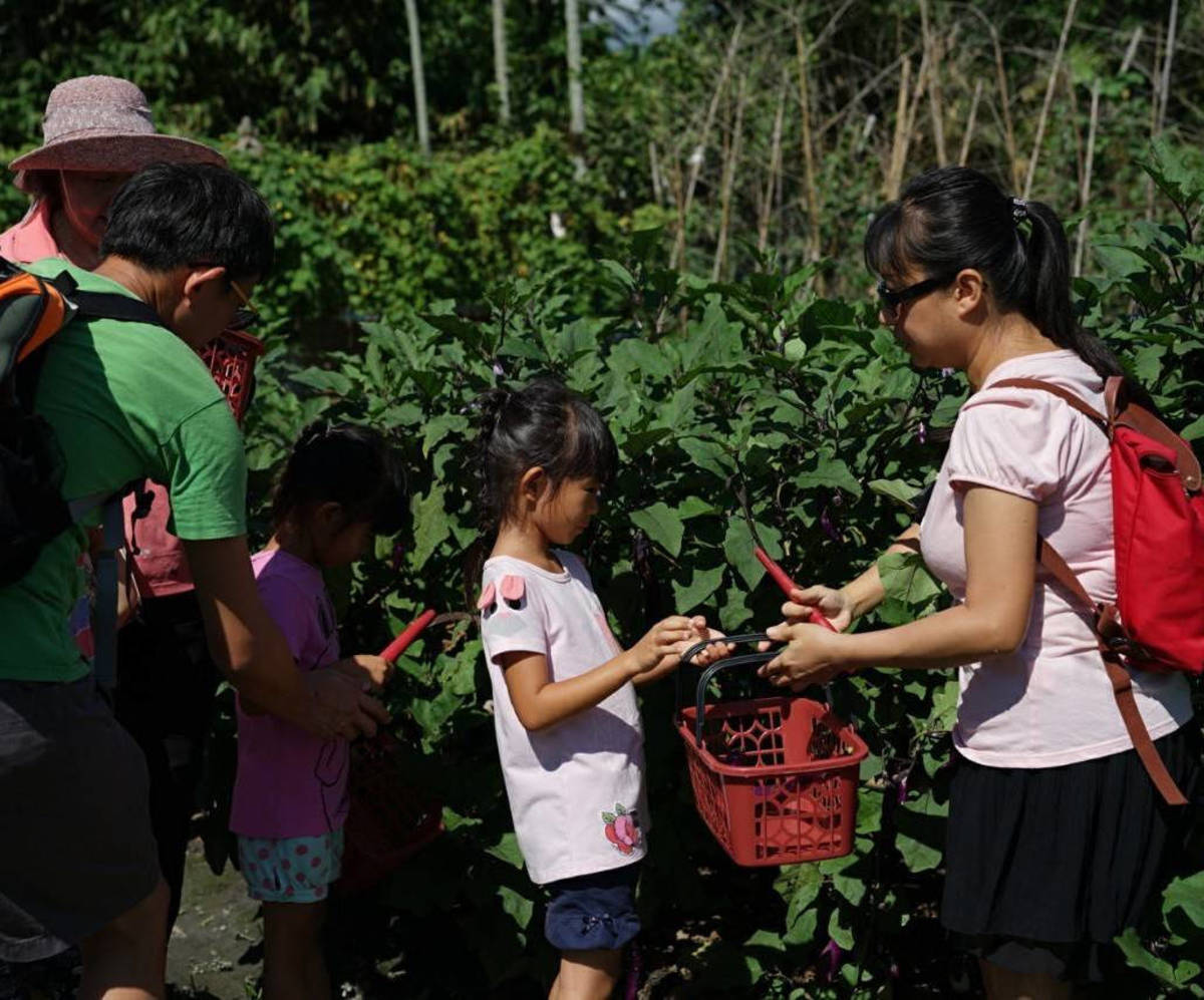 食在好臺東系列活動在臺東縣客家文化園區舉行，吸引不少親子組隊参加。