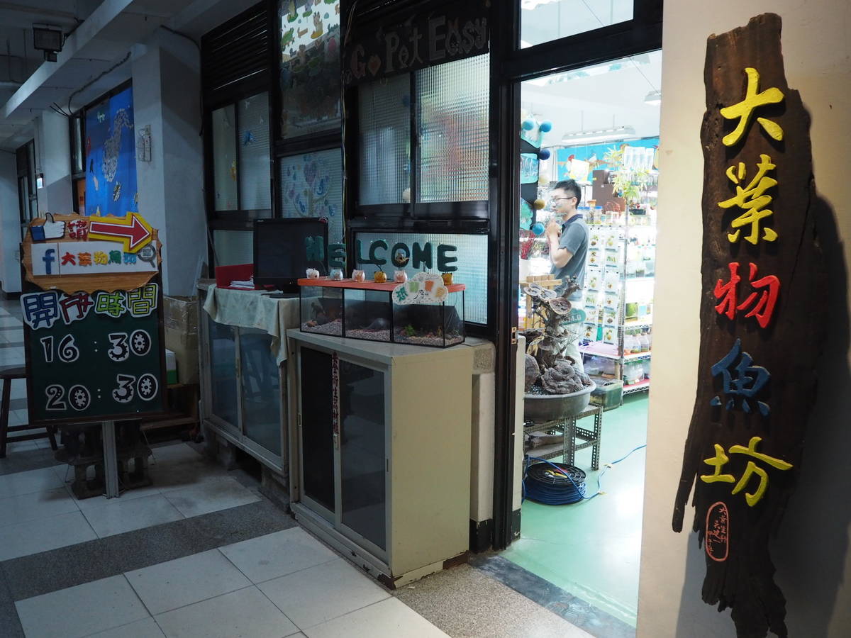 走進「大葉物魚坊」，彷彿掉入夢幻的水族館般，魚坊內不只容納了超過45個大小不同的水族缸，還有多達50種的海水及淡水魚類