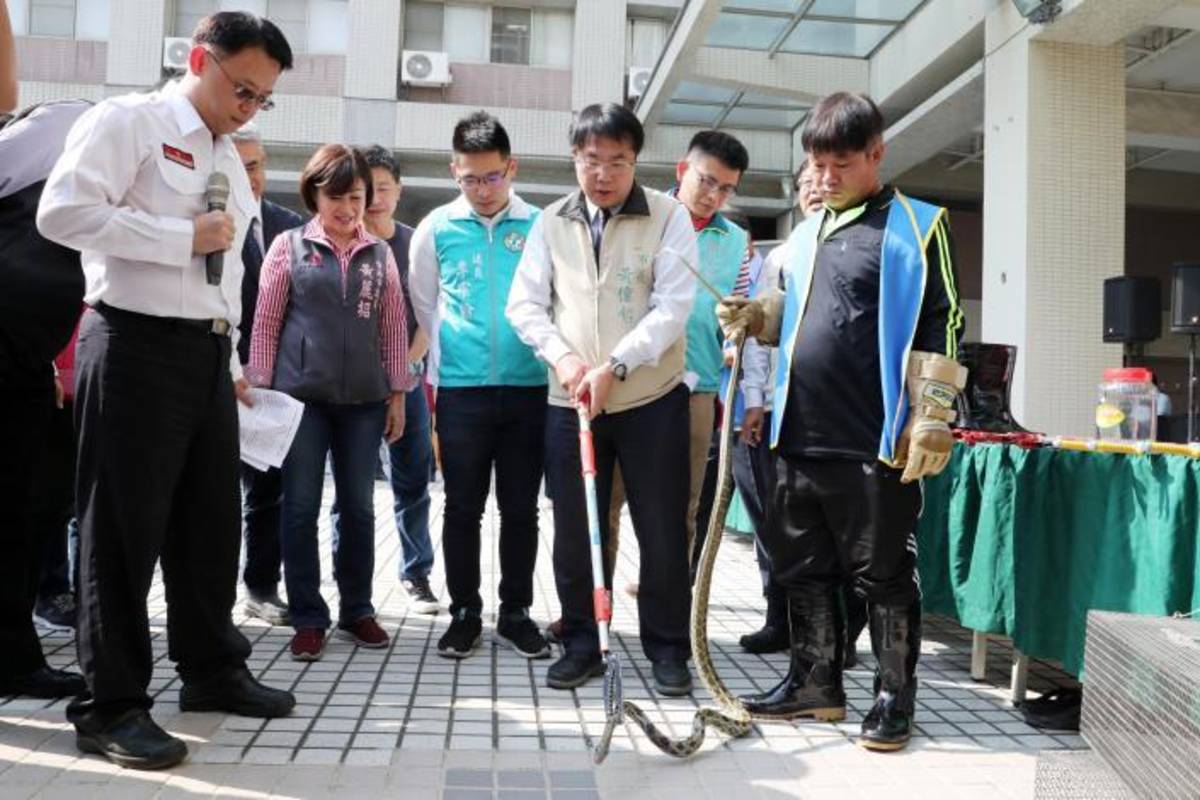 捕蜂捉蛇專責化 南市府相關業務回歸農業局