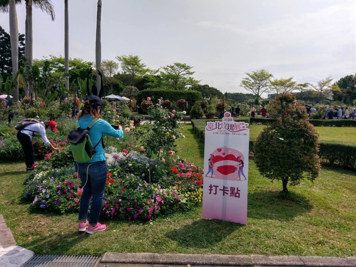 2020年臺北玫瑰展展期到4月30日