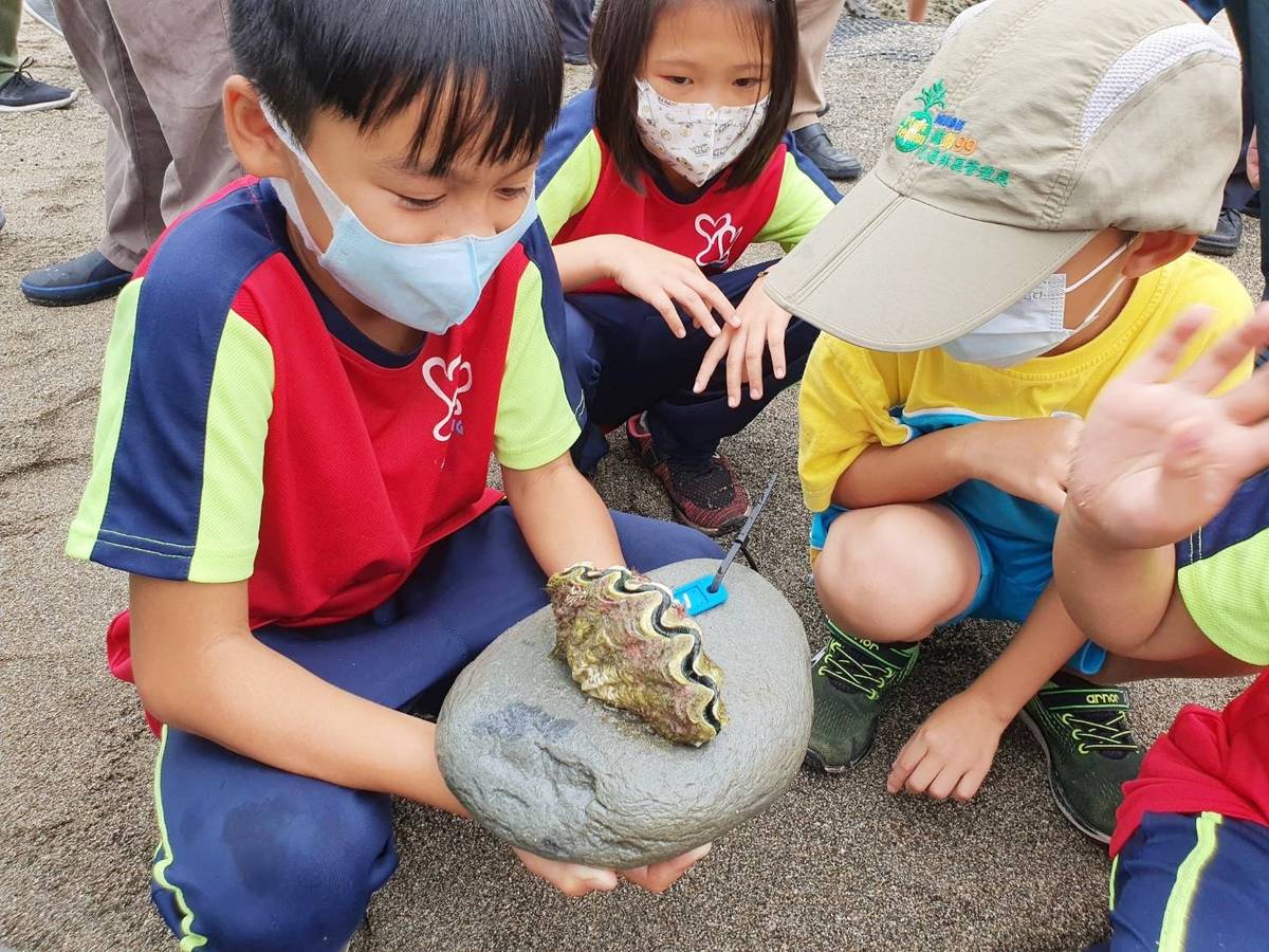 臺東縣政府與農委會水產試驗所合作，計畫在富山漁業資源保育區復育「硨磲貝」，今(31)日邀請富山國小學童一起移植硨磲貝幼貝。