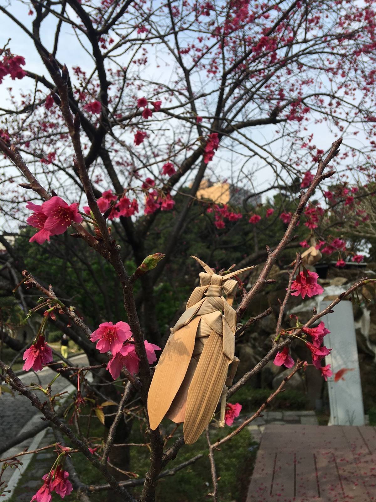 草編_林三元