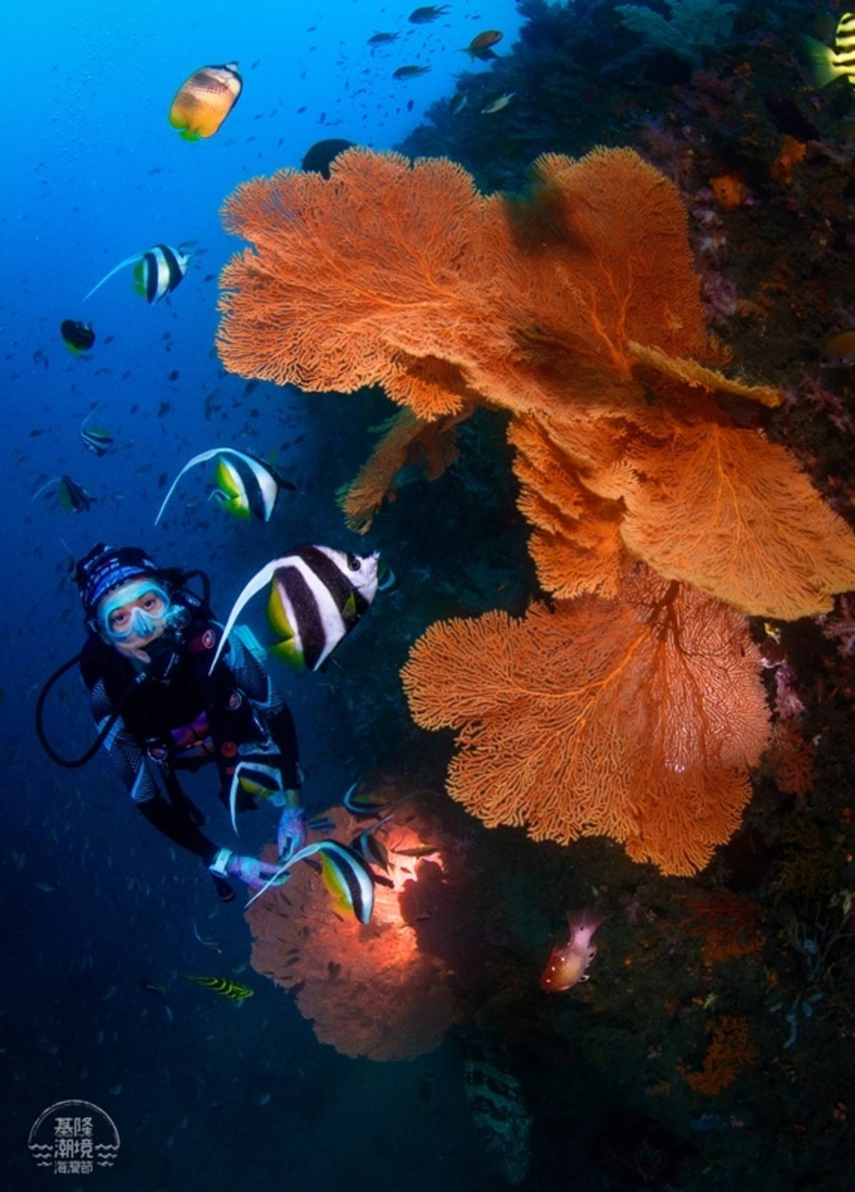 海科館_廣角首獎-邱茂瑞-繽紛海底世界.jpg