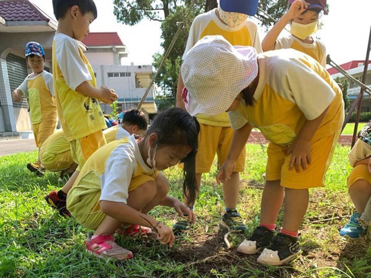 溪南非營利幼兒園生態教育.png