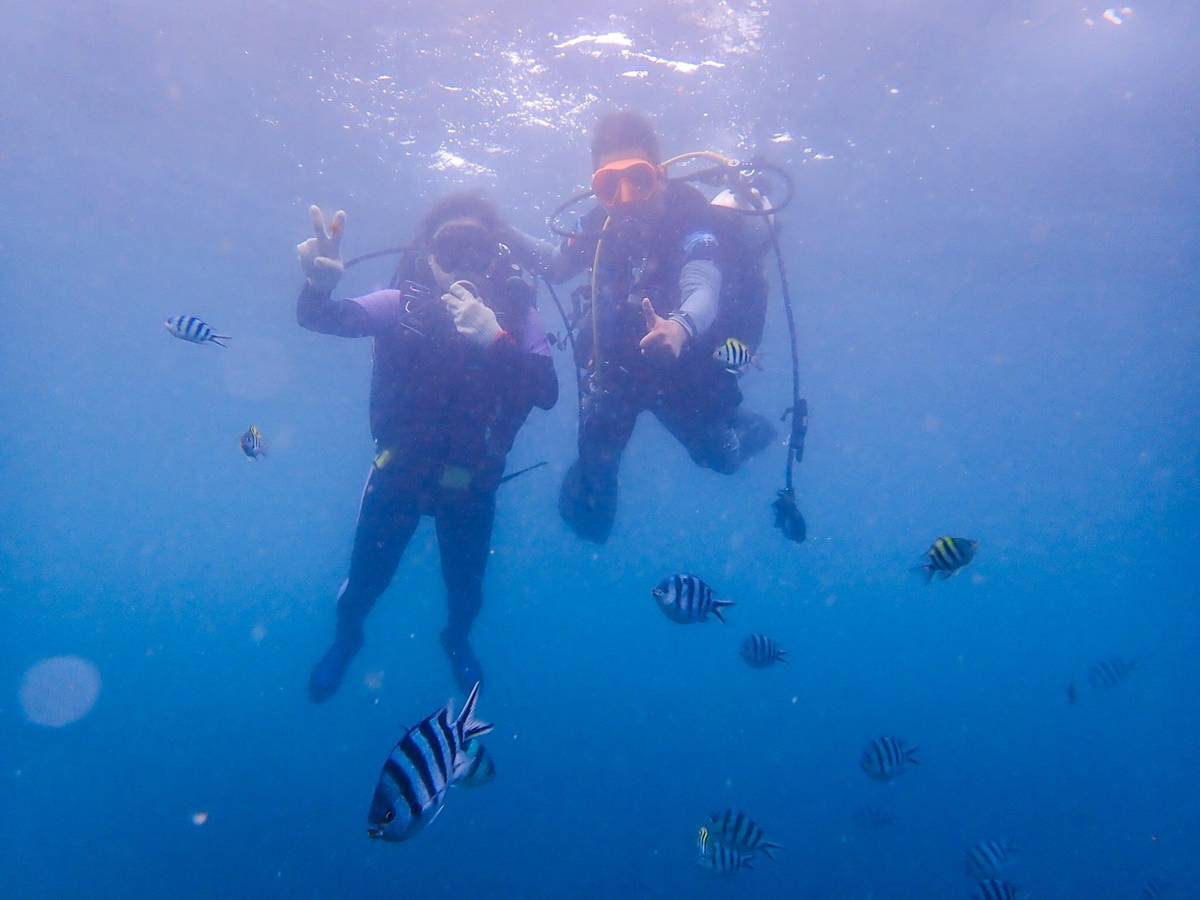 海科館~望海巷潛水 .jpg