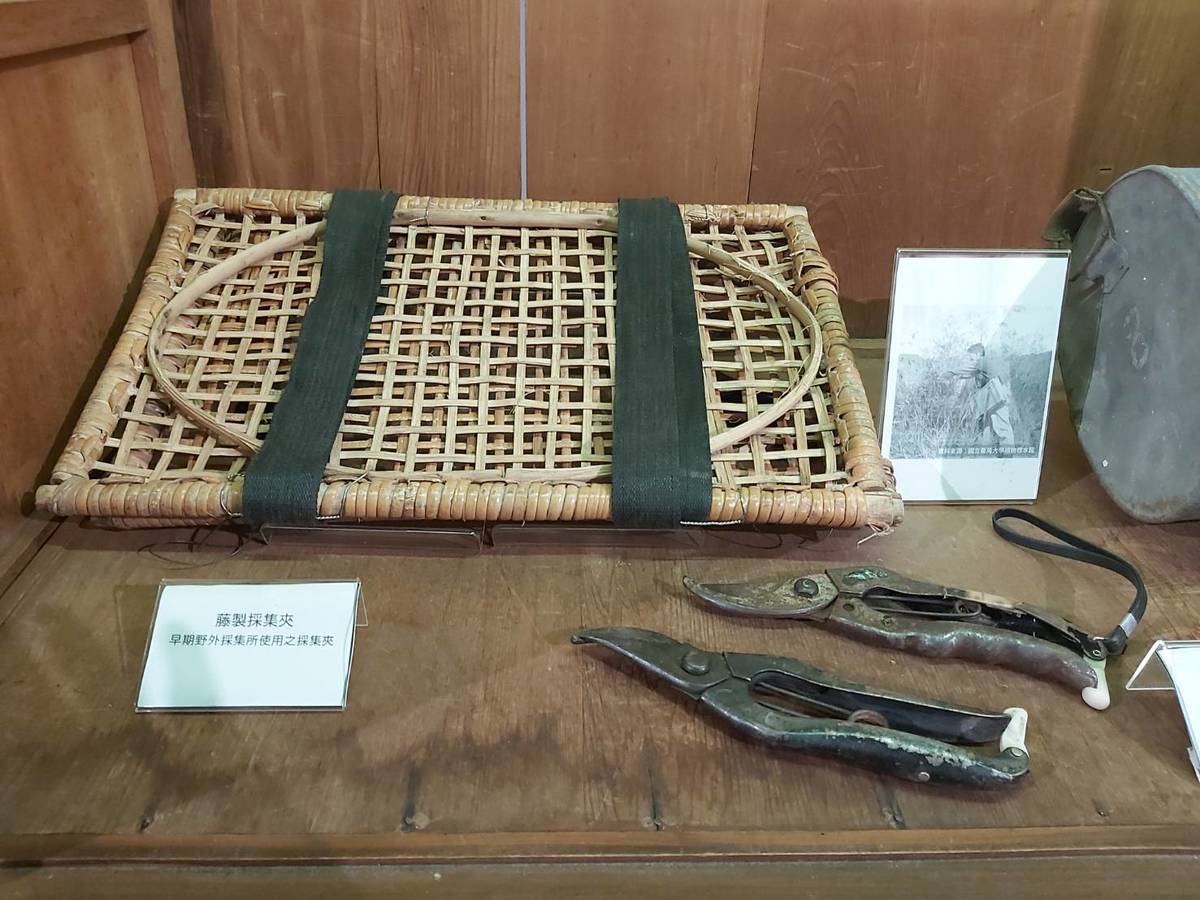 「尋常見不凡-臺北高等學校植物標本特展」採集植物器具。