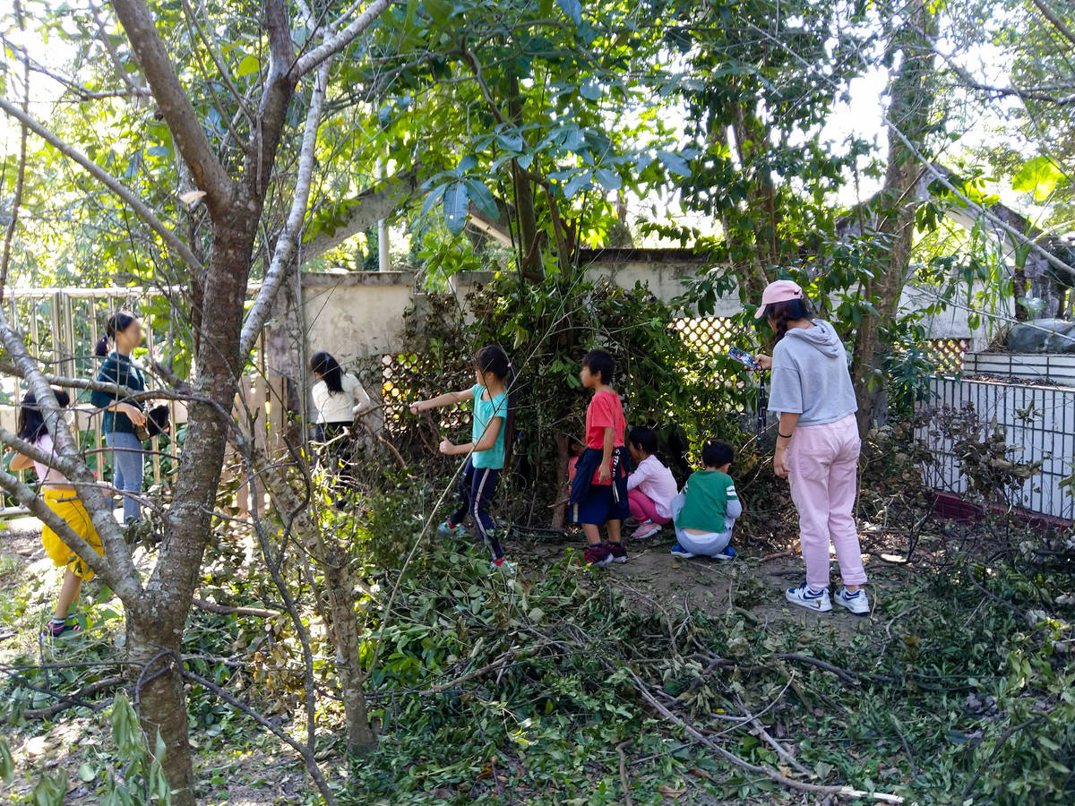 孩子們打造樹下秘密基地。