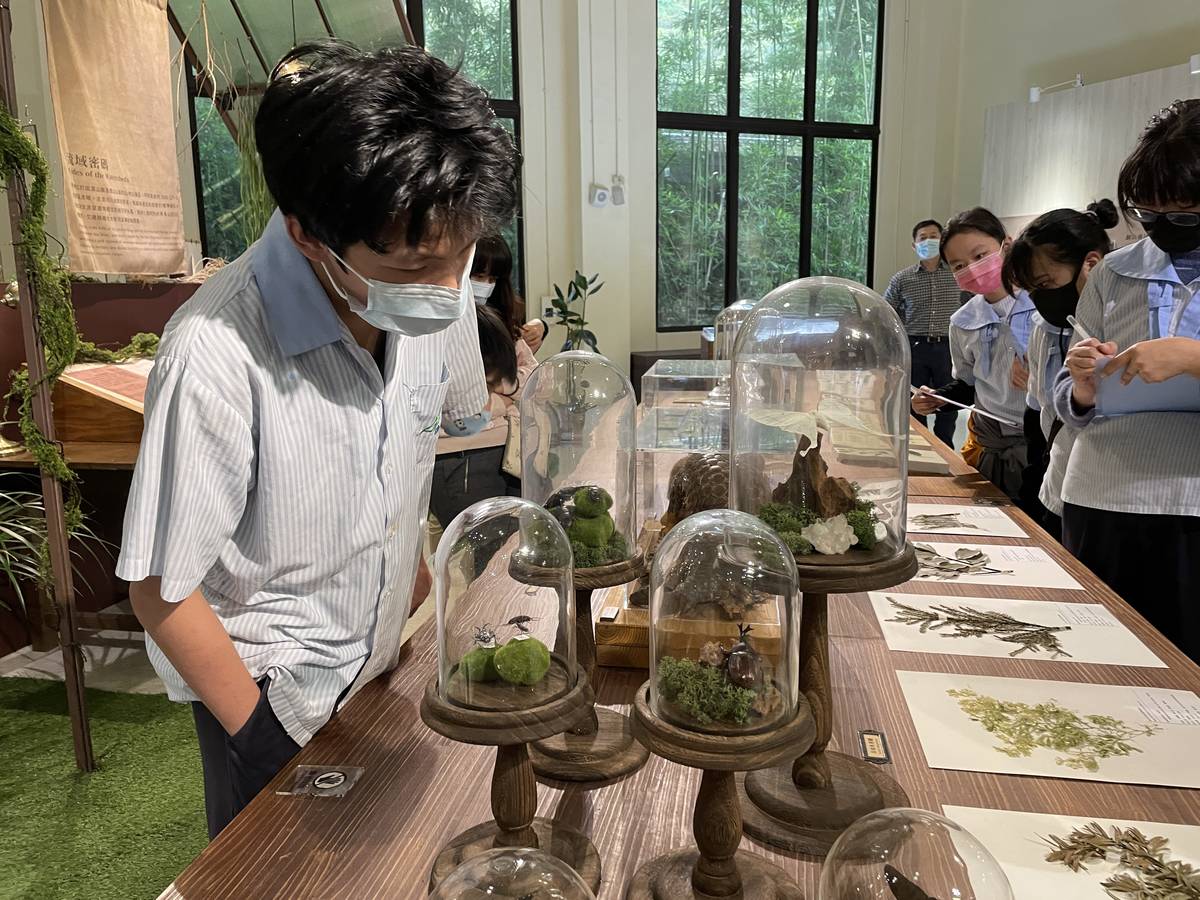 坪林茶業博物館「茶山學特展」豐富的動植物標本令學生嘖嘖稱奇。