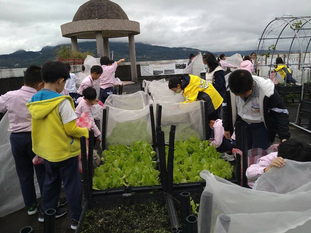 新北市低碳校園認證 文化國小環境教育獲「金熊級」