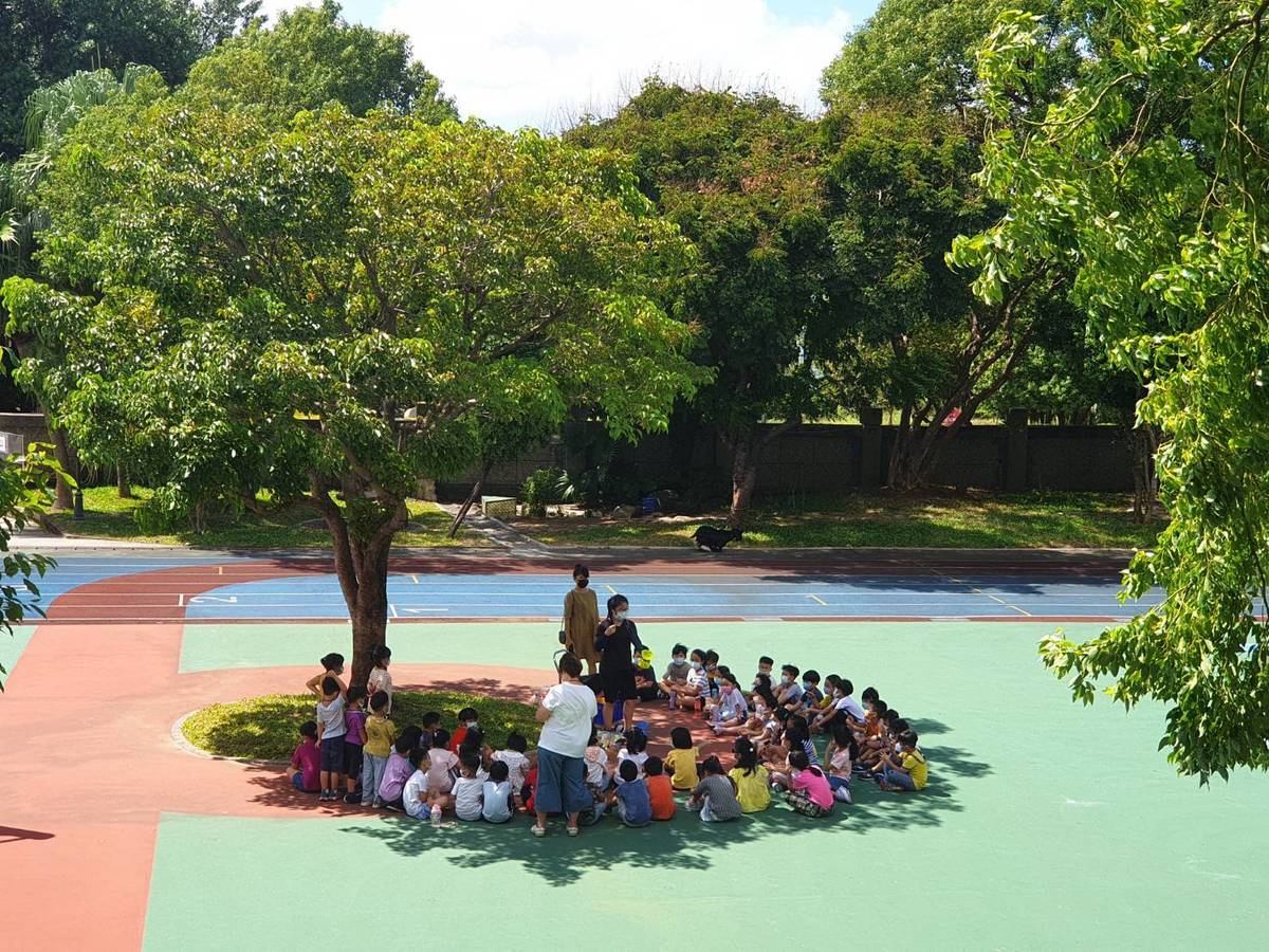 新北市低碳校園認證 文化國小環境教育獲「金熊級」