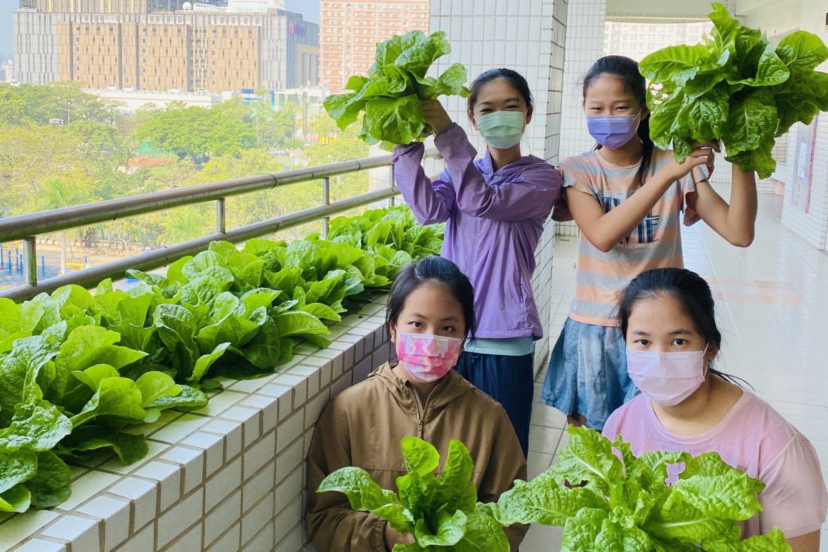 高市新上國小開闢走廊農場 點亮食農教育新亮點