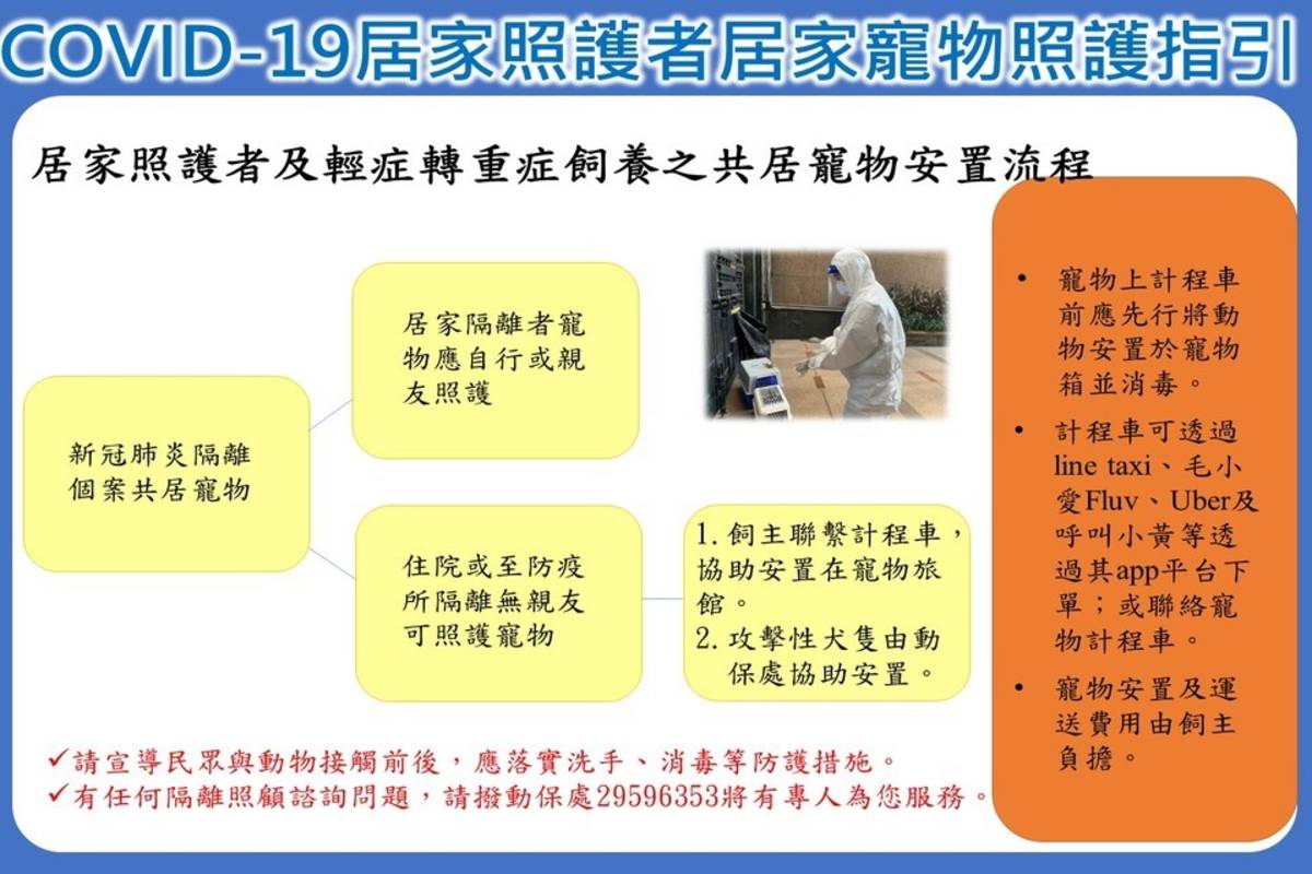COVID-19居家照護者及輕症轉重症飼養之共居寵物安置流程 (新北市動保處提供)