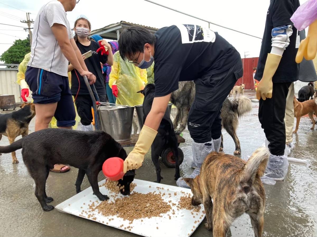 彰化家扶中心釣竿方案青年分工清掃園區、餵食及照顧患病動物(圖片來源:彰化家扶中心)