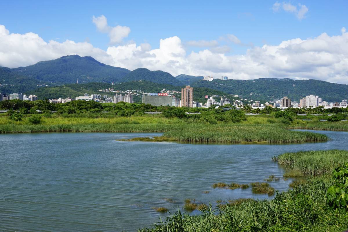 臺北市水利處邀請民眾到社子島親近候鳥、愛上濕地