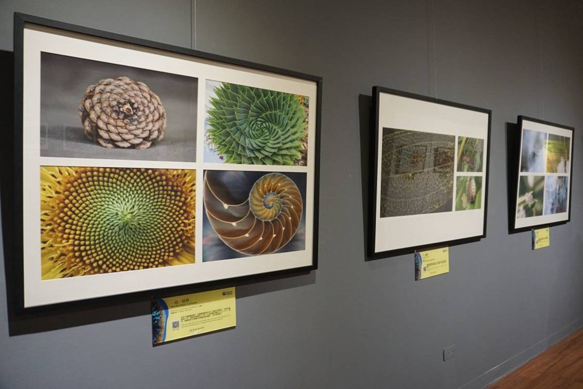 廣達「見微知美」13校巡迴展 從虎科大出發