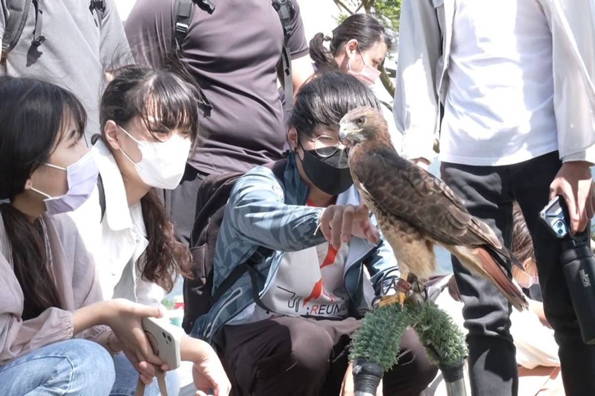 活動邀請馴鷹師示範友善驅鳥，學生難得有機會跟老鷹近距離接觸。
