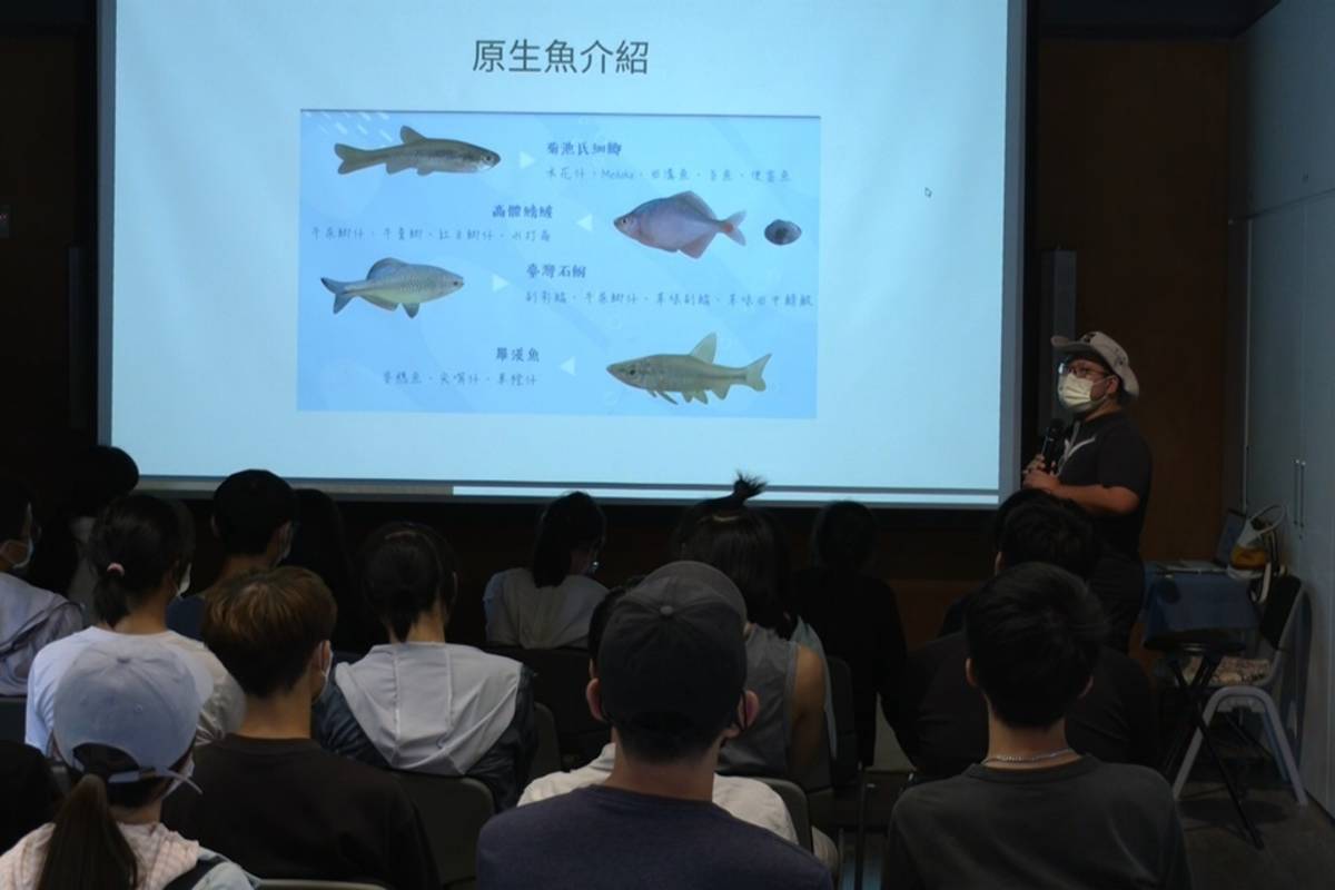 活動中帶著參與學生認識原生魚種，也教導如何利用「放棍法」移除外來種魚類。