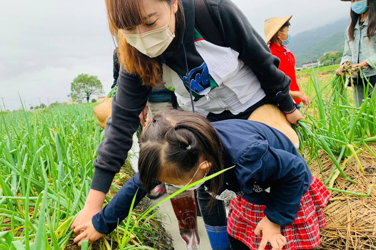 彰化家扶寄養家庭聯誼活動讓寄養親子到宜蘭體驗拔蔥(圖片來源：彰化家扶提供)