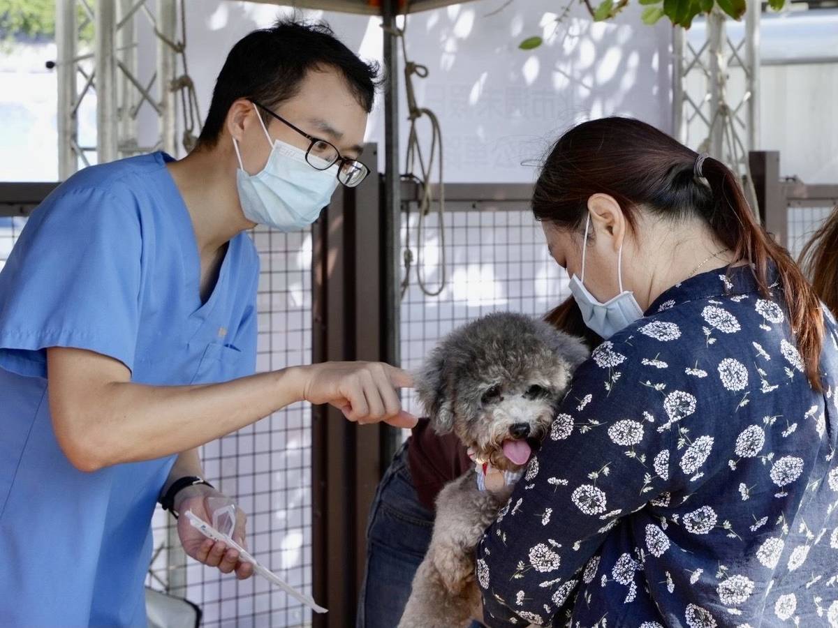 美堤狗活動區啟用活動還有免費狂犬病疫苗注射及寵物登記服務