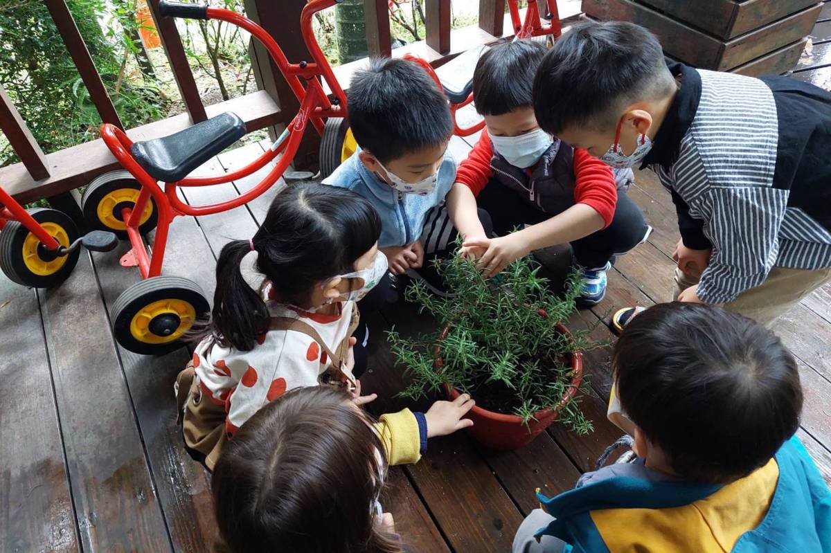 湖山國小附幼將小田園活動融入課程，讓孩子從參與種植到手作體驗