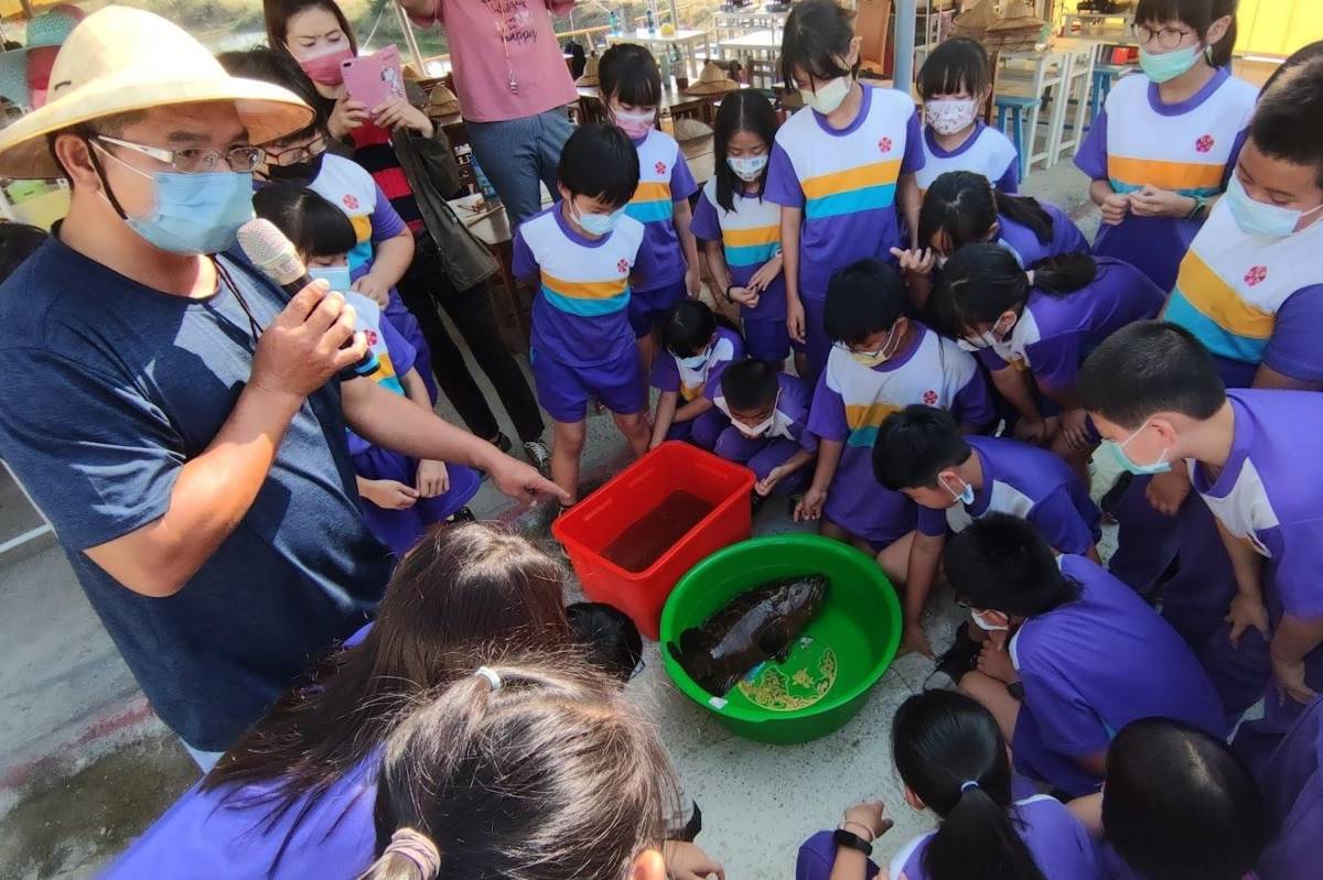 土城國小積極推動食魚課程.