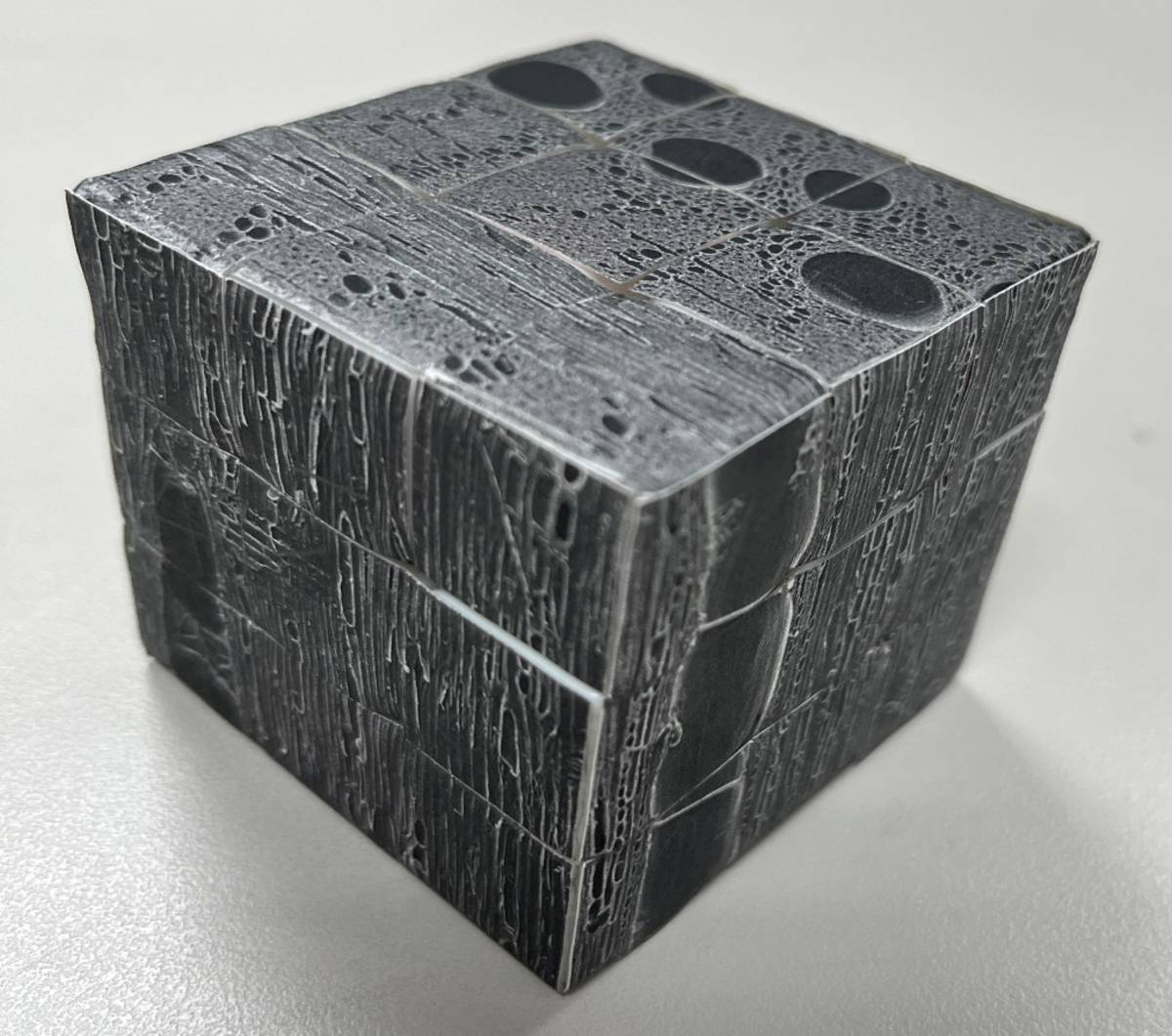魔術方塊的立體構造可完美的闡釋木材三切面外觀特徵及組織結構。(林試所提供)
