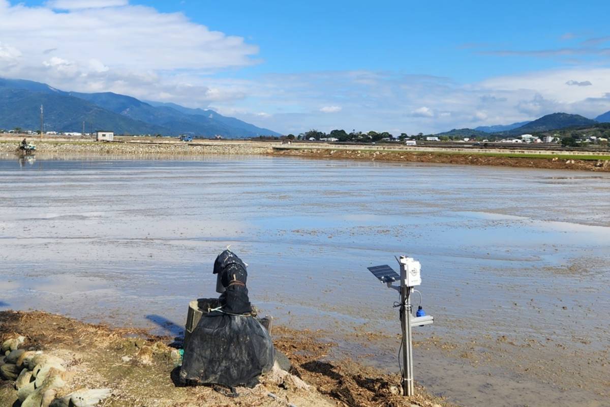 池上青年培力工作站與興富溼地週遭小農攜手推動智慧節水設施。