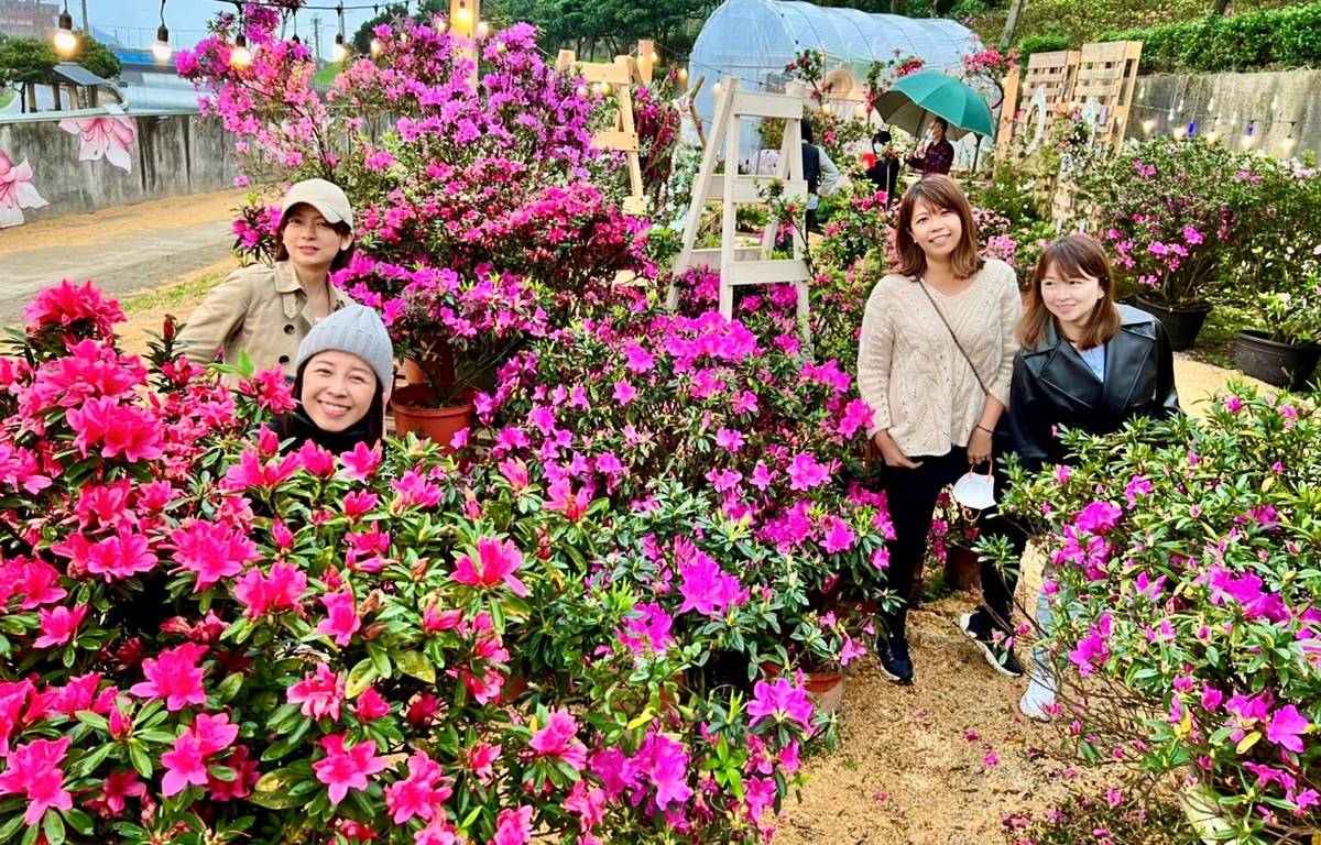 新北市農業局以「移動花聚落」為主題，讓杜鵑與各領域的20位藝術家相碰撞，共同創造國際級杜鵑花展