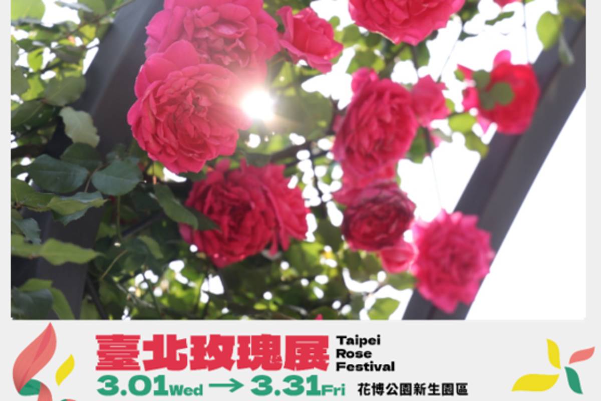 臺北玫瑰展打造6大展區，邀請民眾沉浸在玫瑰花海的浪漫氛圍中