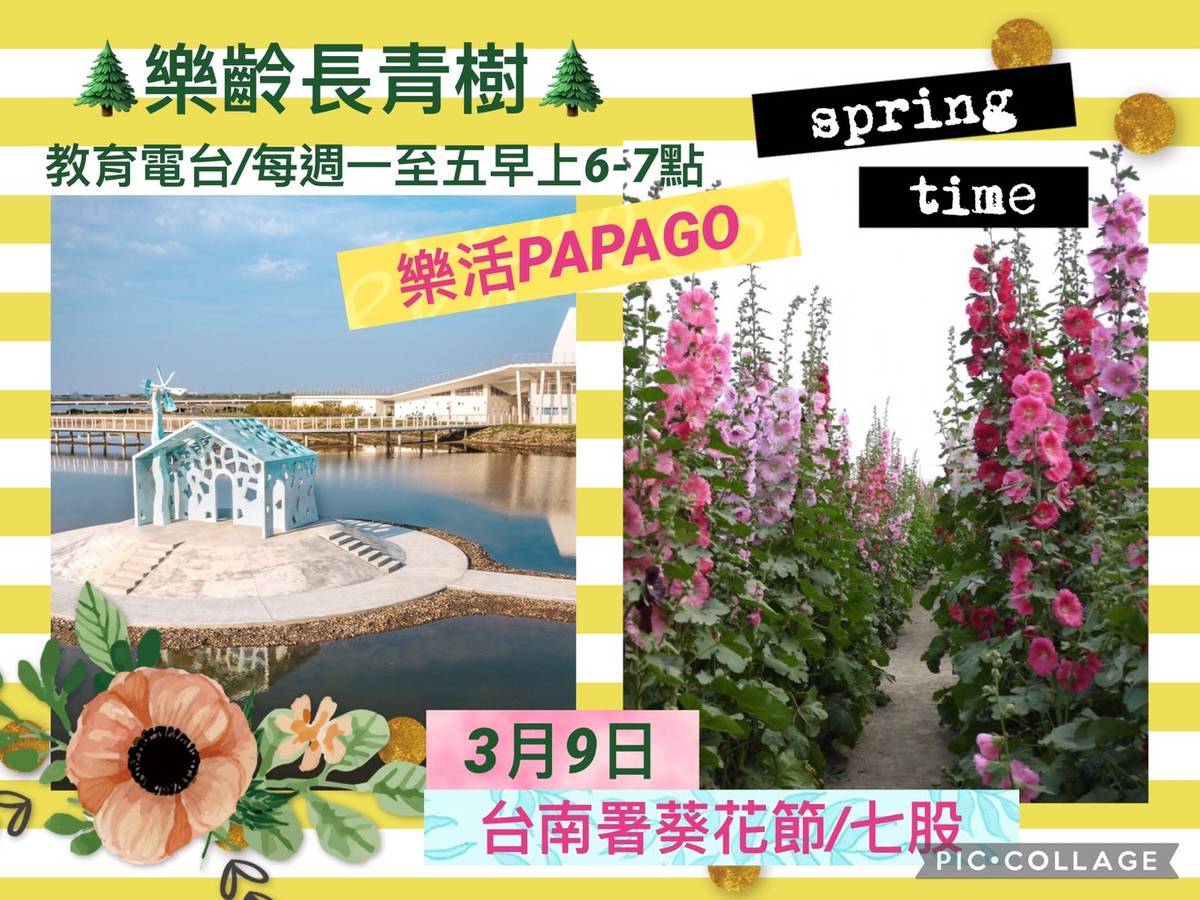 姚臻介紹台南署葵花文化節及七股鹽埕