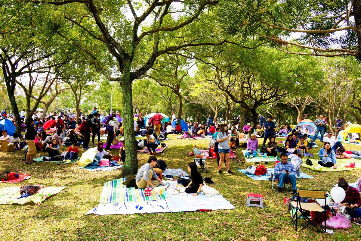 春暖花開的3月，臺北市邀請民眾3/18-3/26到大安森林公園無塑野餐