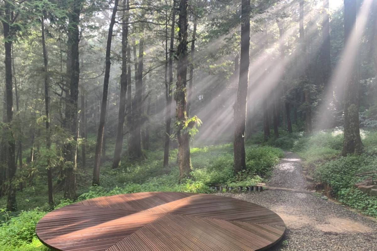 阿里山國家森林遊樂區水山療癒步道內療癒空間「森天觀影」。