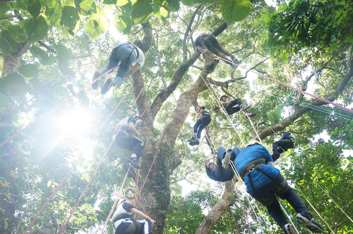 攀樹活動有助於培養面對問題和解決問題的能力