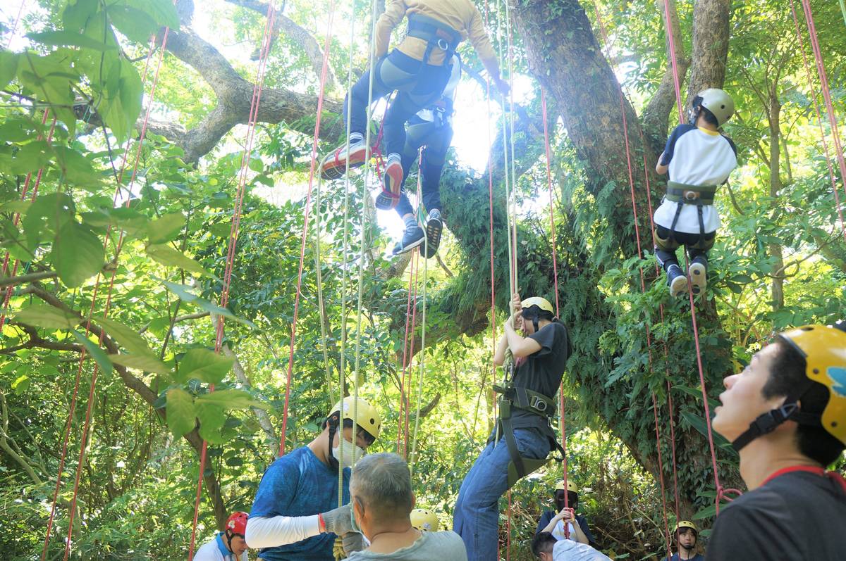 育達高中雙語部為國小到高中部學生安排攀樹體驗活動