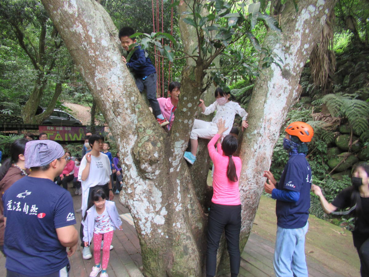 參與活動的聽友透過觀察、探索，想辦法以最快的時間上樹。