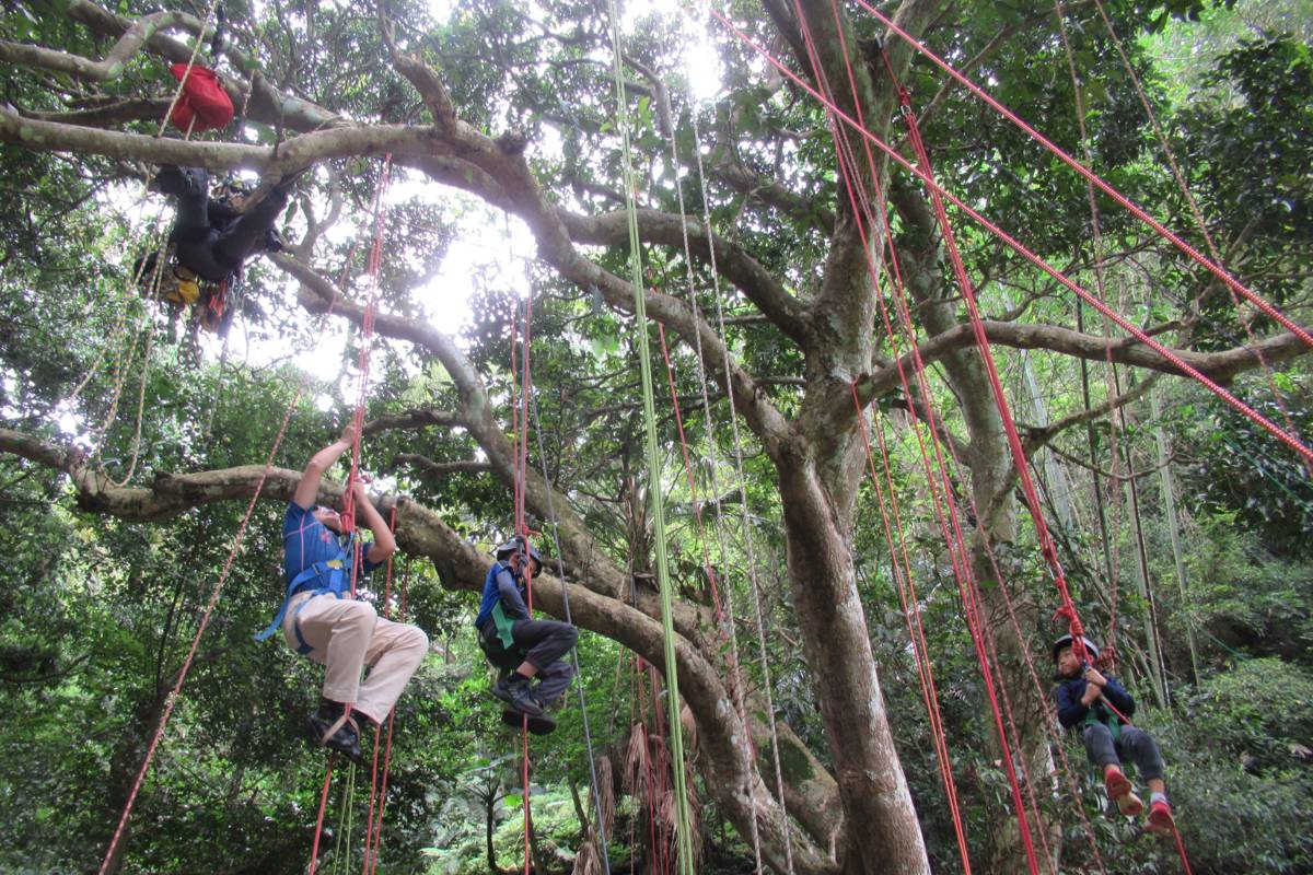聽友利用繩索進行攀樹體驗