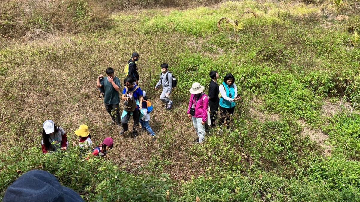 鍾理和文學之路｜鍾理和文學步道上採摘飯甑波（野莓）1