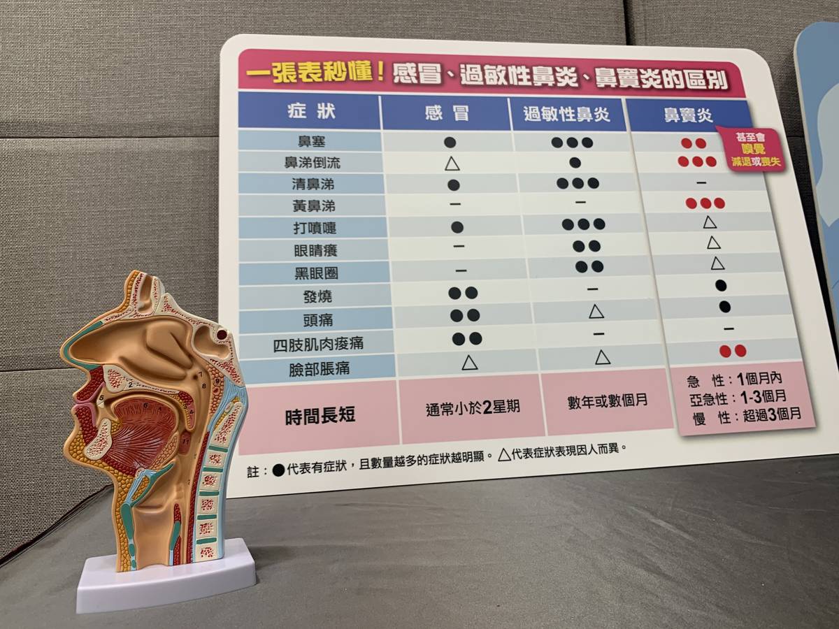 感冒、過敏性鼻炎與鼻竇炎是我國常見的上呼吸道疾病