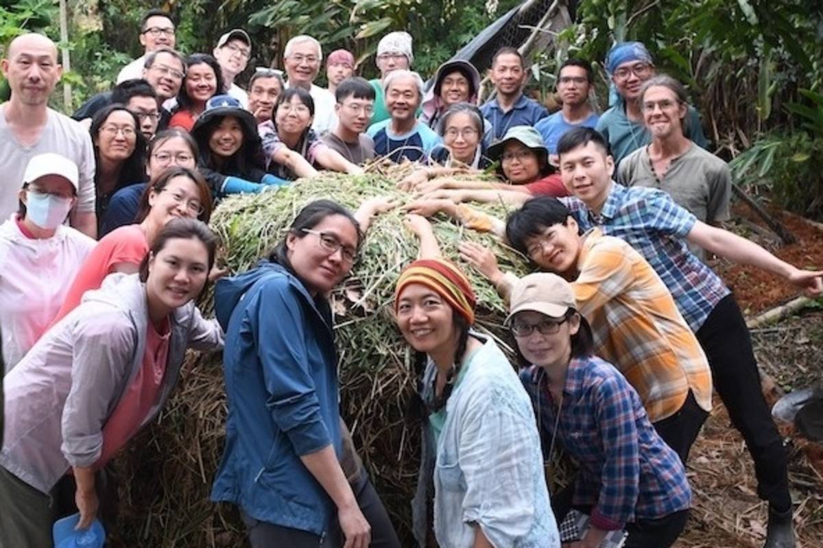 「臺南藝術公社」野外探索在地植物作為建築材料的可能性