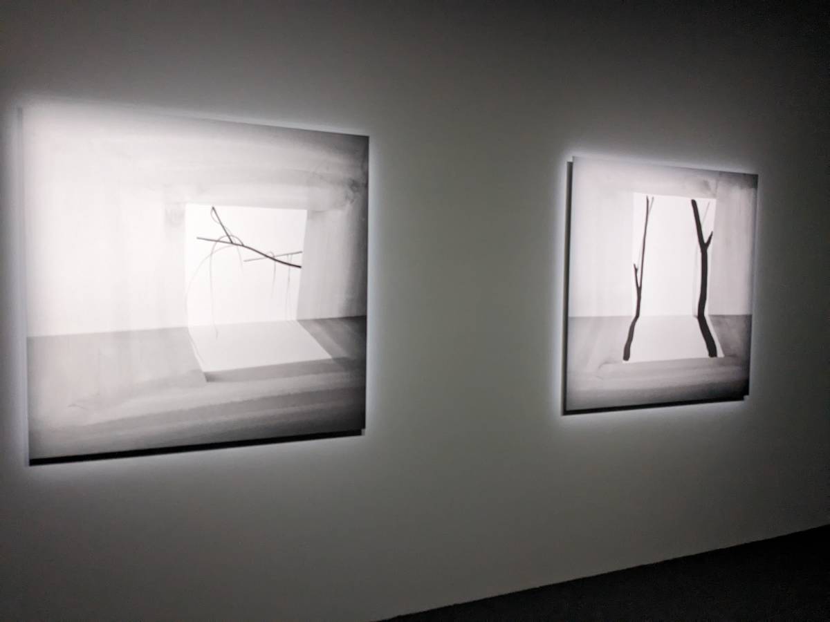 「無垠之森」展出北美館典藏王雅慧《問影#1》/《問影#2》作品

