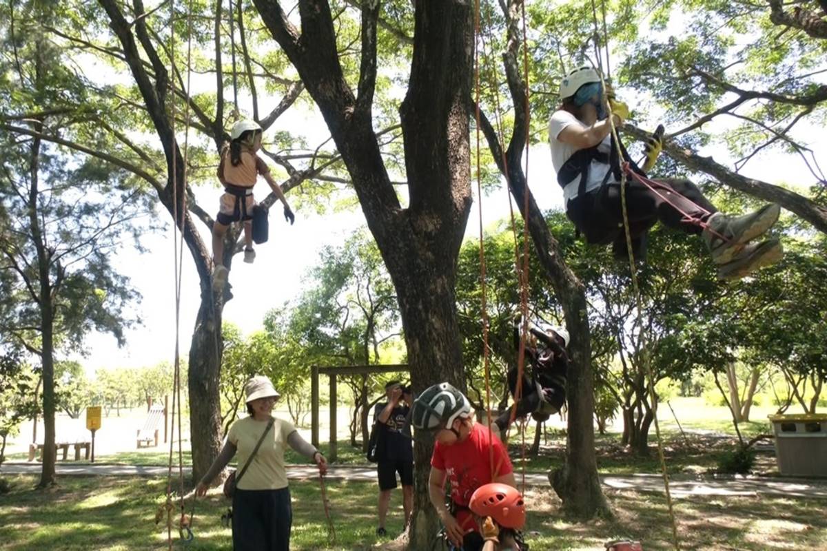 為進一步活化臺東森林公園場域，臺東縣政府日前辦理攀樹體驗，帶領民眾親近大自然，療癒身心。