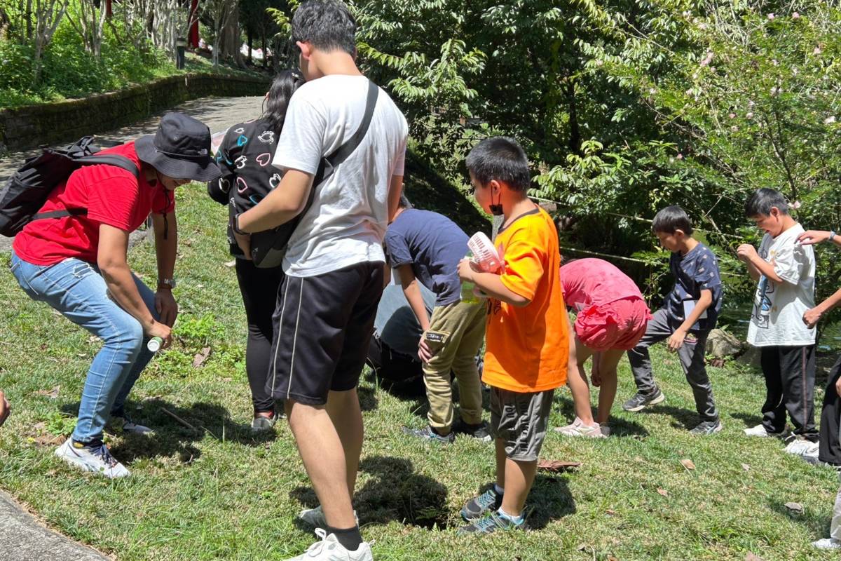 學童一起開心抓螽斯
