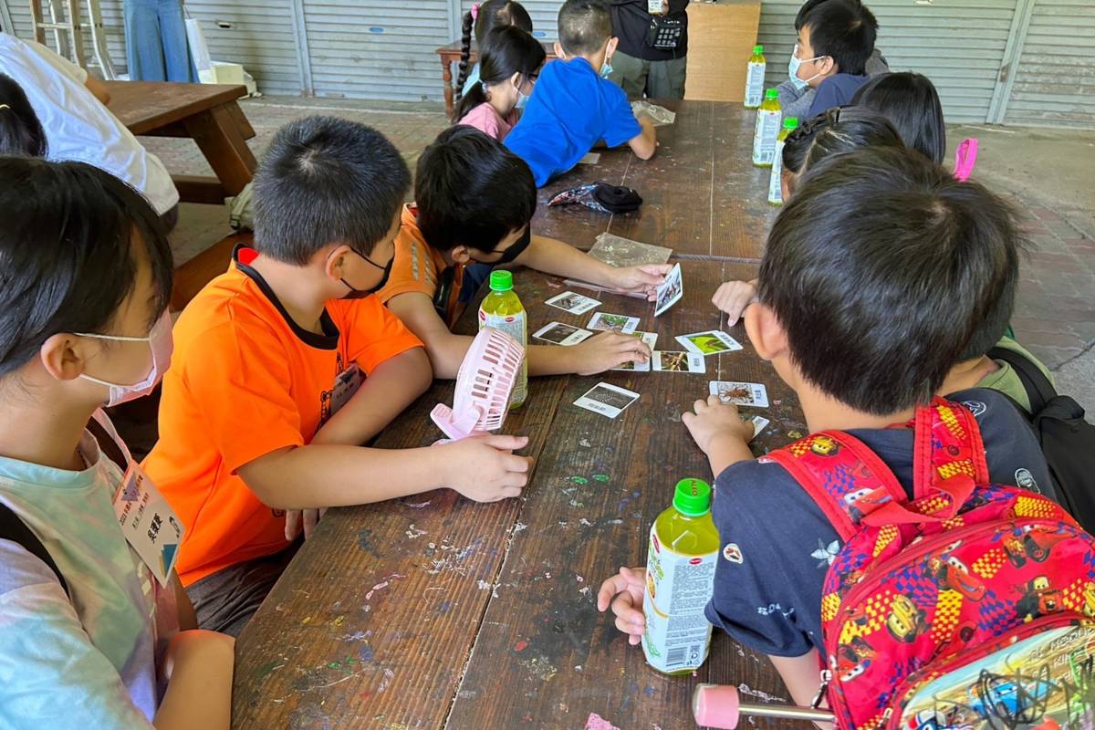 學童認真分類圖卡