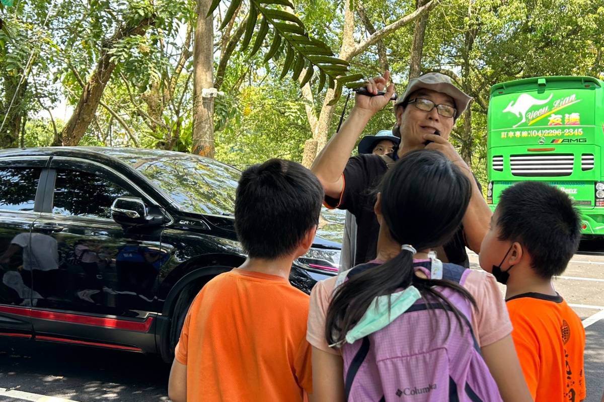 學童仔細聆聽導覽員介紹蕨類