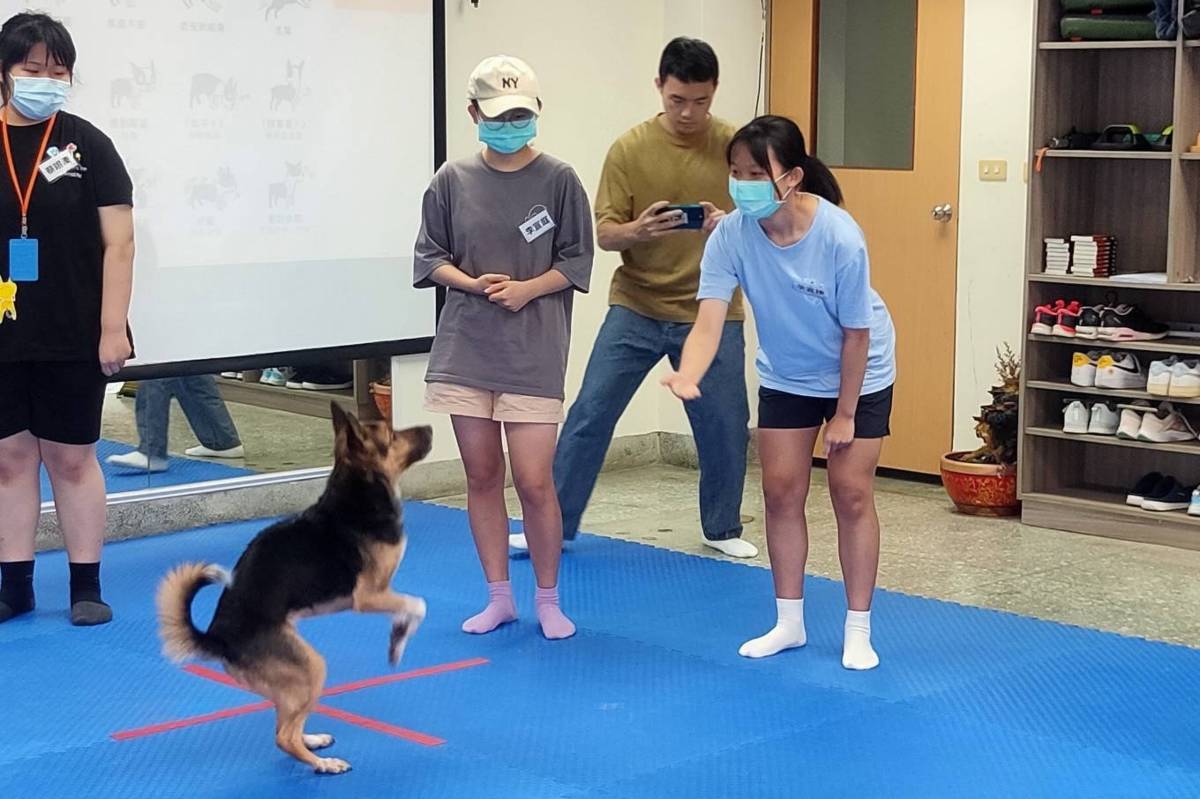 青少年與療癒犬互動