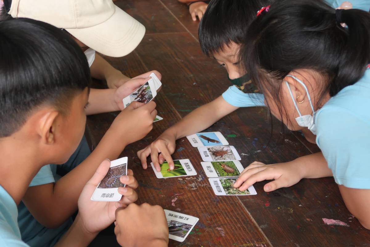 透過分組方式，學員們進行腦力激盪，將東勢林場常見的生物進行分類。