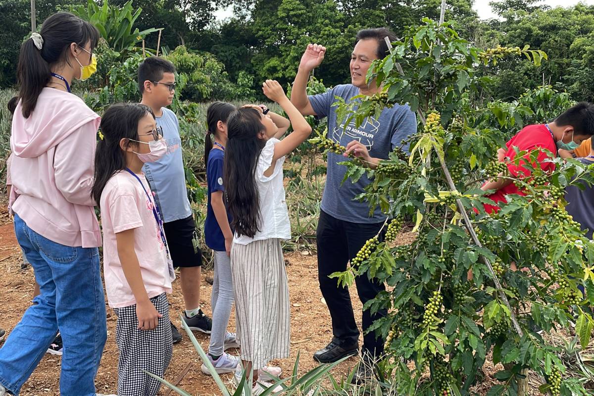 在地農友介紹咖啡樹（圖源：文德國小）