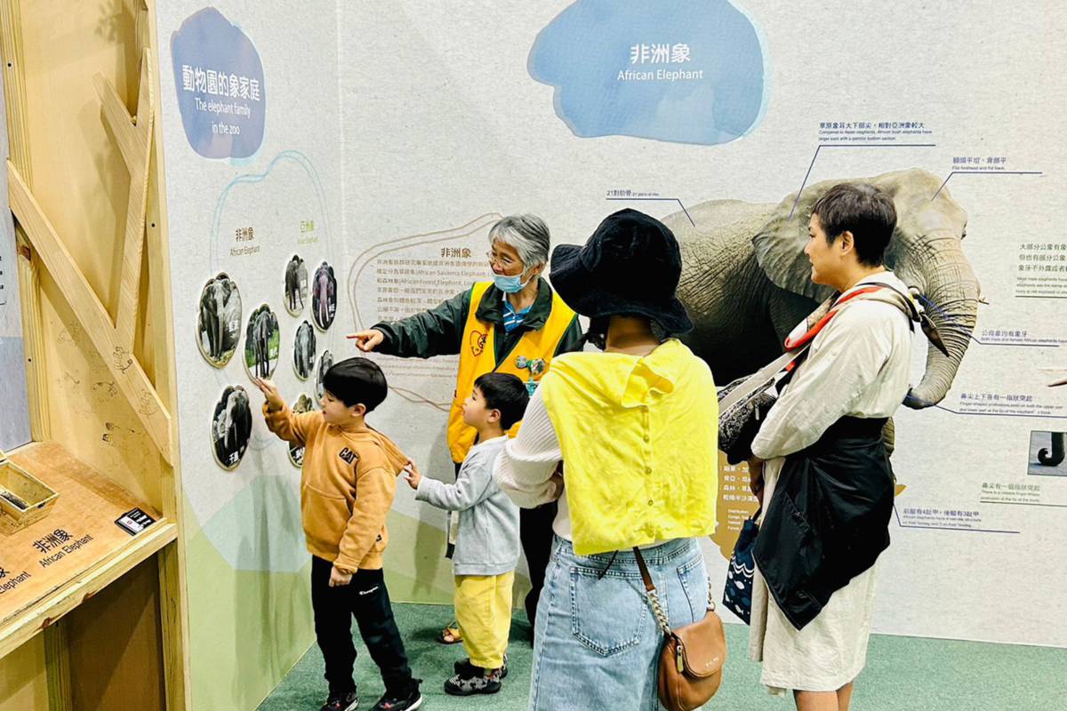 動物園志工為大眾解說關於大象的知識(圖片提供:北市動物園)